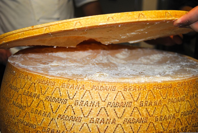 Photo d'une meule de grana padano