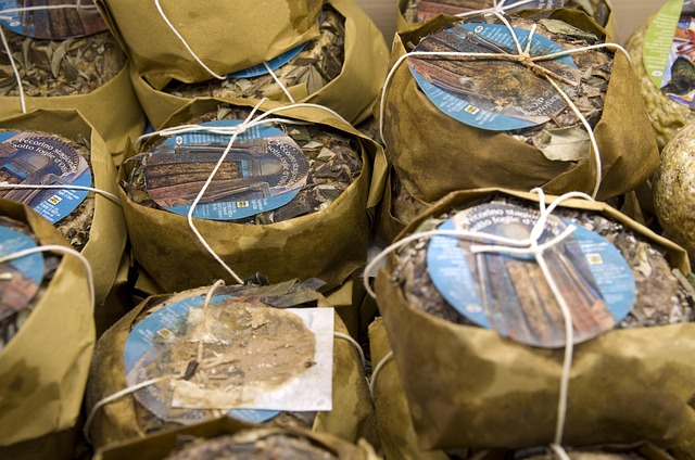 Photo de fromages italiens Pecorino